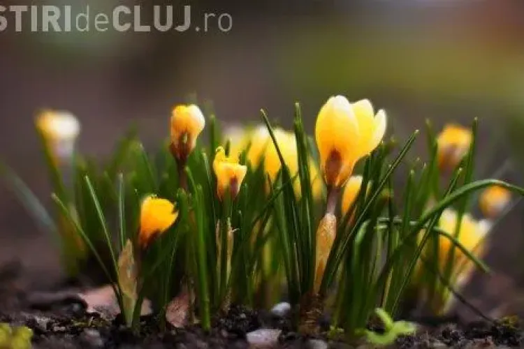 ECHINOCŢIUL DE PRIMĂVARĂ 2017. De când zilele vor fi mai lungi