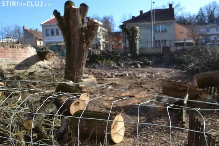 Prima Grădină Botanică a Clujului, TĂIATĂ legal. Cine a emis autorizația - FOTO