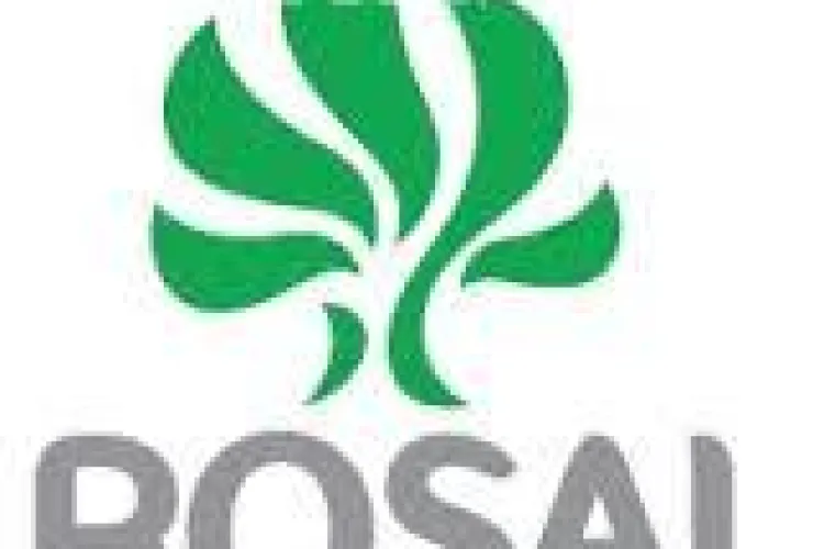 Rosal Cluj face angajări! Vezi ce posturi sunt disponibile și unde se pot depune cererile