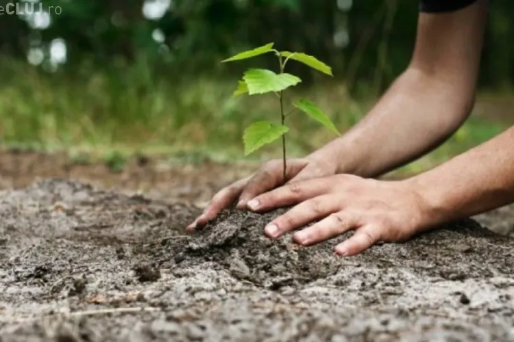 Mii de elevi clujeni ies la plantat de copaci, în ”Ziua Voluntarilor Mici”