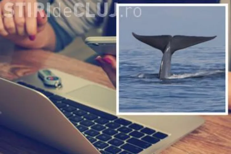 Un copil de 11 ani s-a spânzurat. El povestea că joacă Balena Albastră