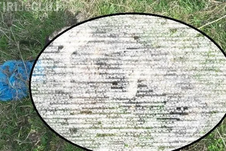 Cluj - Câini arși de vii într-o comună clujeană. Imaginile sunt ȘOCANTE - FOTO