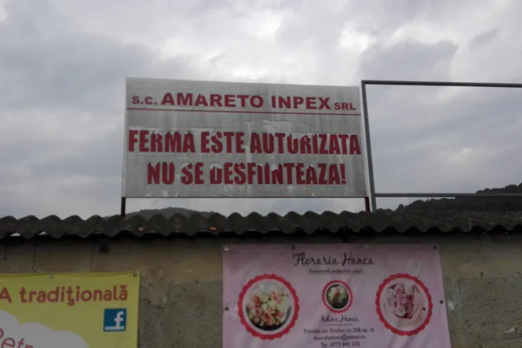 Florești: Bloc AVIZAT la 11,3 metri de ferma de pui, cu aprobare de la mediu și studiu de impact asupra sănătății