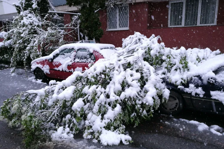 Clujul este sub ZĂPADĂ! Ninge ca iarna în oraș - FOTO