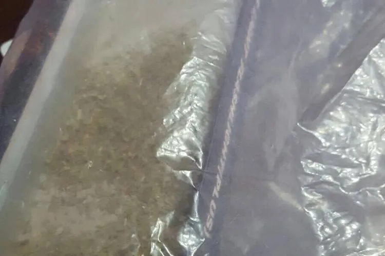 Rețea de traficanți de etnobotanice, destructurată la Cluj. Oamenii legii au confiscat kilograme de droguri și mii de euro FOTO/VIDEO