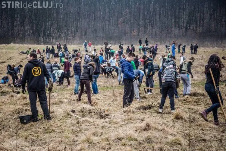Tăşuleasa Social Filiala Cluj plantează mii de puieți