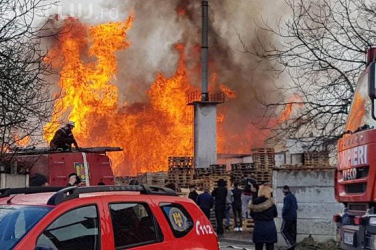 CLUJ: Incendiu uriaș la un depozit de paleți din Mihai Viteazu. Poliția a deschis un dosar penal