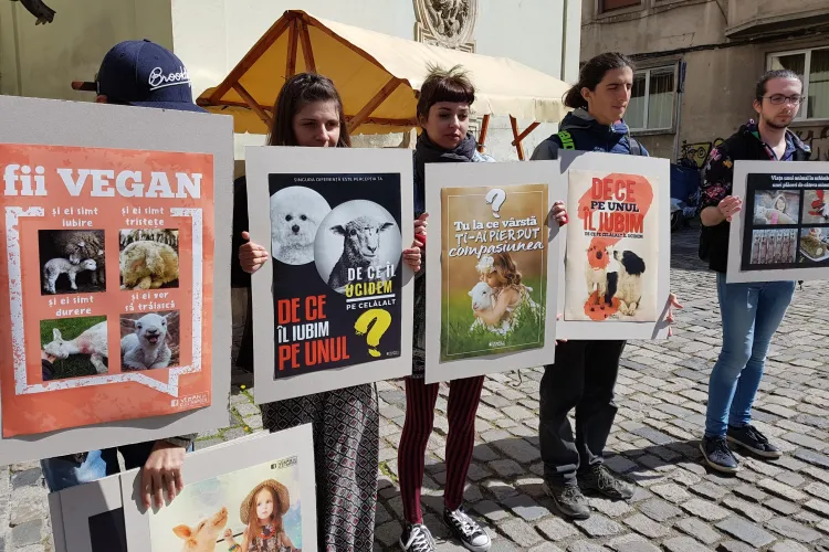 Cluj - Protest față de sacrificarea mieilor de Paște - VIDEO