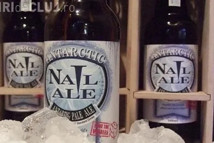 Bere din gheata topita din Antarctica! O sticla costa 800 de dolari