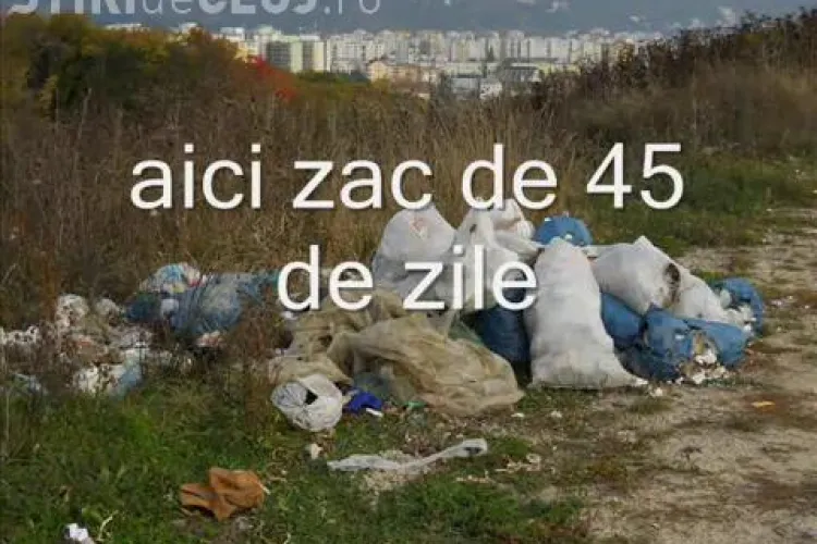 Eternul Manastur! Gunoaie aruncate la tot pasul prezentate intr-un film realizat de un clujean intors acasa! - VIDEO si FOTO