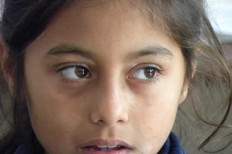 Luna Amara, Razvan Krivach si Stefan Boldijar sustin in 25 noiembrie un concert caritabil pentru prevenirea abandonului scolar