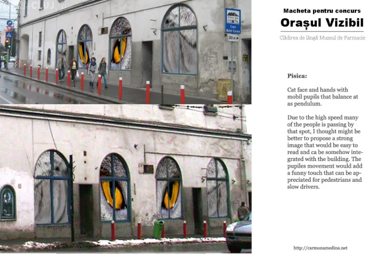 Lucrari de arta in vitrinele spatiilor comerciale abandonate din Cluj GALERIE FOTO