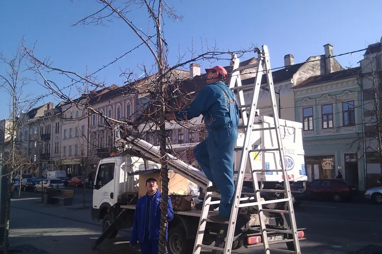 La Cluj, se monteaza deja instalatiile luminoase de sarbatori! FOTO