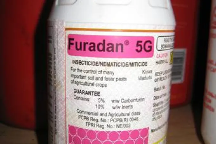 Tanarul de la care Madalina Manole a cumparat Furadan s-a predat