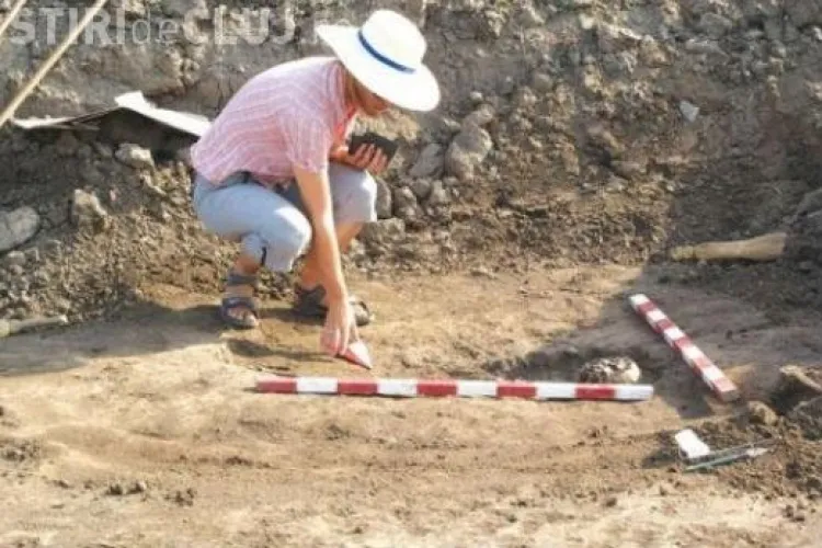 Cercetătorii UBB descoperă o nouă familie de reptile mezozoice din Transilvania (România)