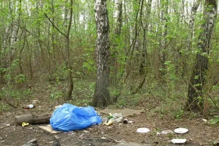 Pădurea Hoia! I-au ȘICANAT cu mașina, după ce le-au atras atenția că aruncau gunoi - FOTO