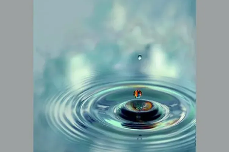 Expoziţie de pictură în ”Serele mari” ale Grădinii Botanice Cluj