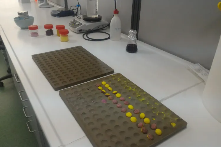 La Cluj au fost inventate drajeuri cu efect anticancerigen