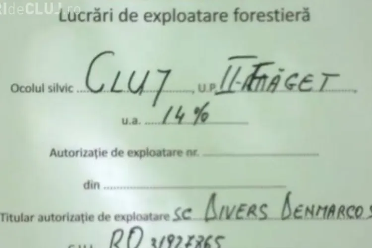 Cluj: Se aud drujbele în Făget: ”Fiind cu băiatul, am preferat să stau la distanță” - VIDEO