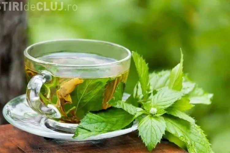 Menta, un remediu pentru sindromul colonului iritabil 