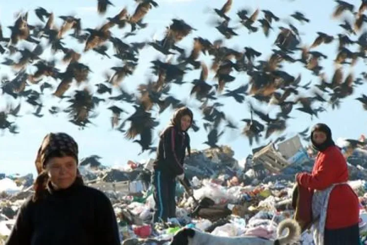 ONG -ul care se ocupă de relocarea romilor de la Pata Rât a cheltuit 1,3 milioane de euro pe SALARII