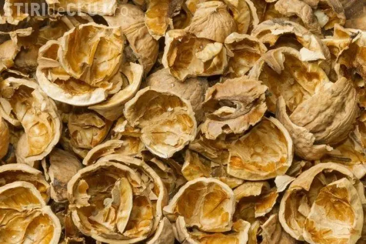 Cojile de nuci, un remediu natural pentru toţi fumătorii