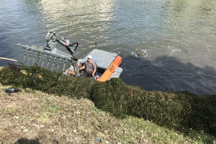 Peste 35 de tone de vegetație colectate de pe Someș, la Cluj-Napoca FOTO