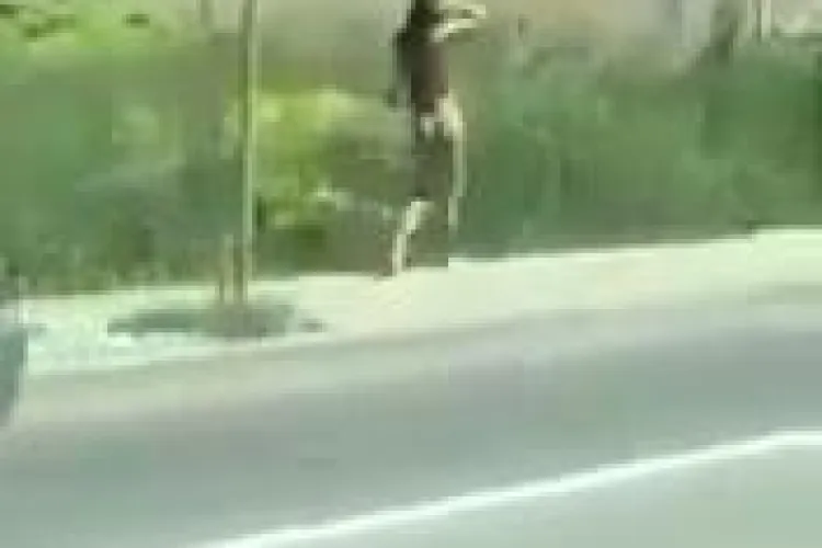 Cluj-Napoca: Femeie în pielea goală prin cartierul Bună Ziua - VIDEO