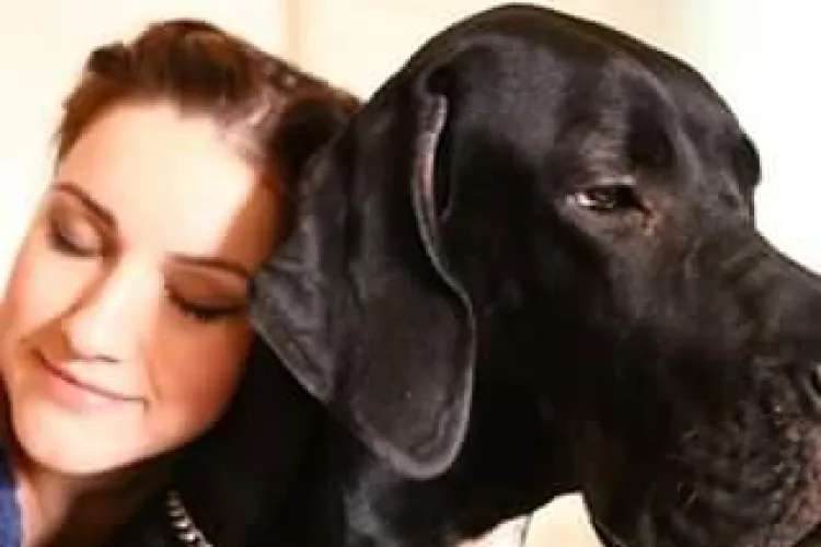 Relatare dramatică de la Spitalul de animale de la USAMV Cluj