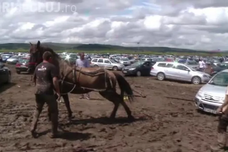 Cum se face accesul cu mașina la Electrica Castle. Recomandări de ploaie