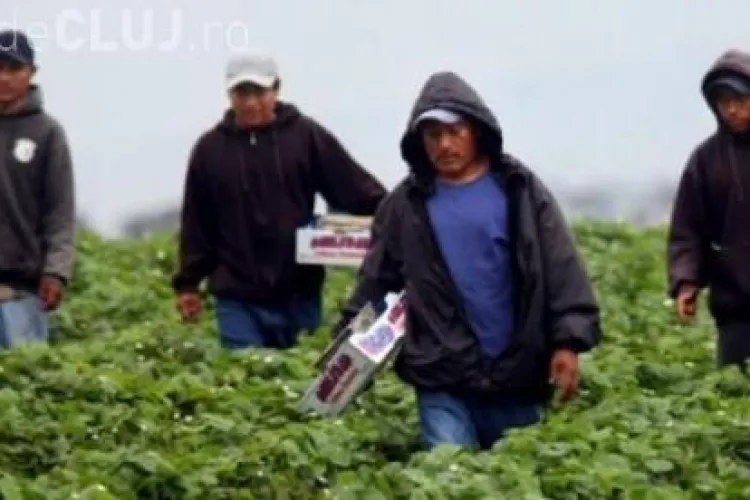 Nouă români părăsesc țara în fiecare oră