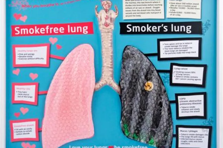 Fumătorii trebuie să consume aceste alimente. Curăță plămânii de nicotină