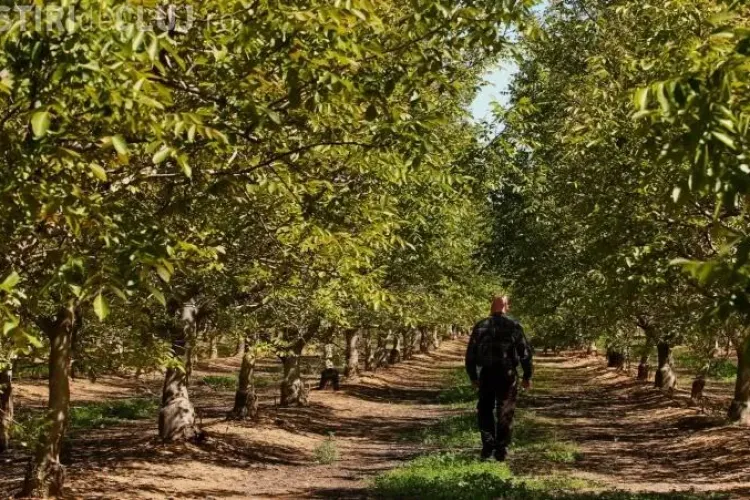 Cluj: Investești 6.400 de euro şi scoți peste 600.000 de euro. Afacere sau iluzie