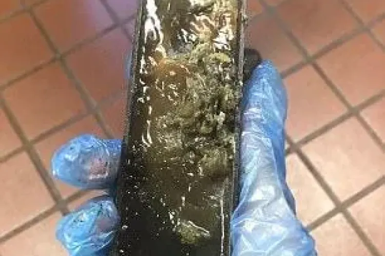 Mai mâncați înghețată McFlurrys de la McDonalds după aceste fotografii?