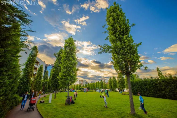  Trei seri de picnic și cinema în aer liber, la Caravana FIlmelor NexT, în Iulius Parc 