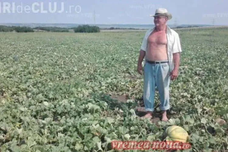 Fermier român amendat pentru că produce pepeni prea mari