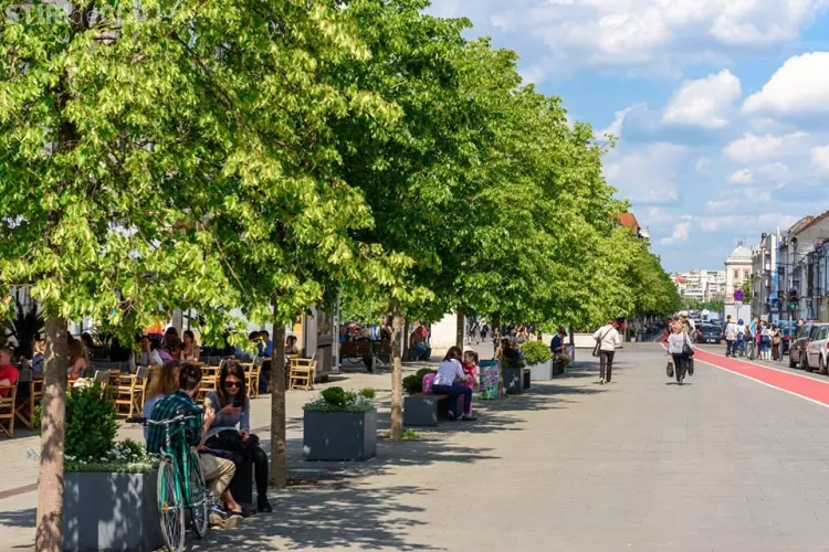 Primăria Cluj extinde rețeaua de Wi-Fi gratuit din oraș. Vezi care sunt cele 18 locații în care ai internet gratuit