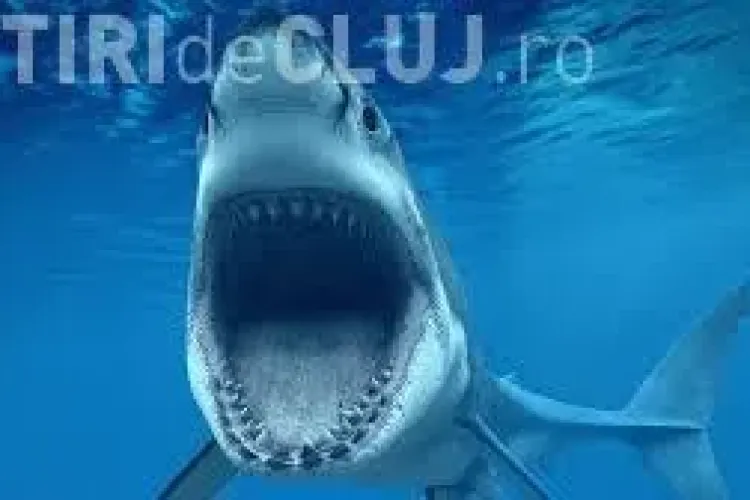 Ce se întâmplă când cel mai decorat sportiv olimpic din istorie se întrece cu un rechin VIDEO