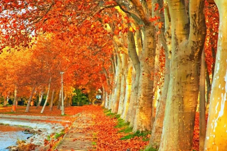 Când pică echinocțiul de toamnă în 2017