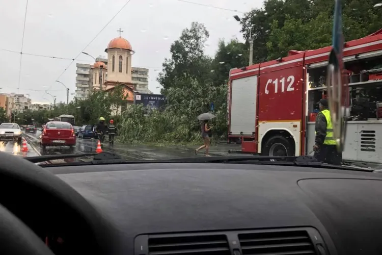Trei copaci au fost doborâți de furtună pe strada Plopilor - FOTO