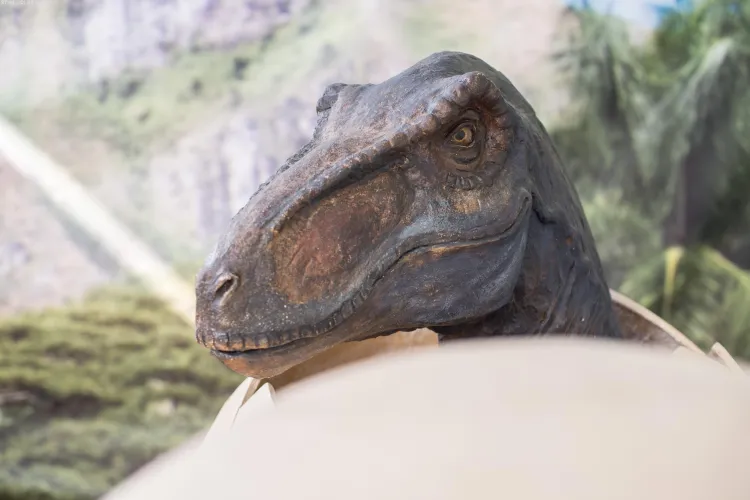 Expoziția "Ultimii dinozauri din Transilvania” se întoarce la Cluj! Vezi unde se desfășoară