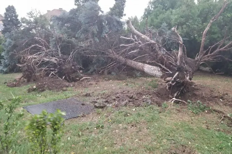 Furtuna care a lovit Clujul nu a făcut victime. În schimb a înroșit liniile 112! - VIDEO