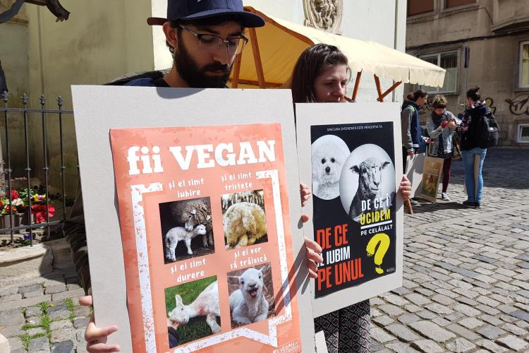 Veganii din Cluj organizează Marșul Oficial pentru Drepturile Animalelor sacrificate pentru carne