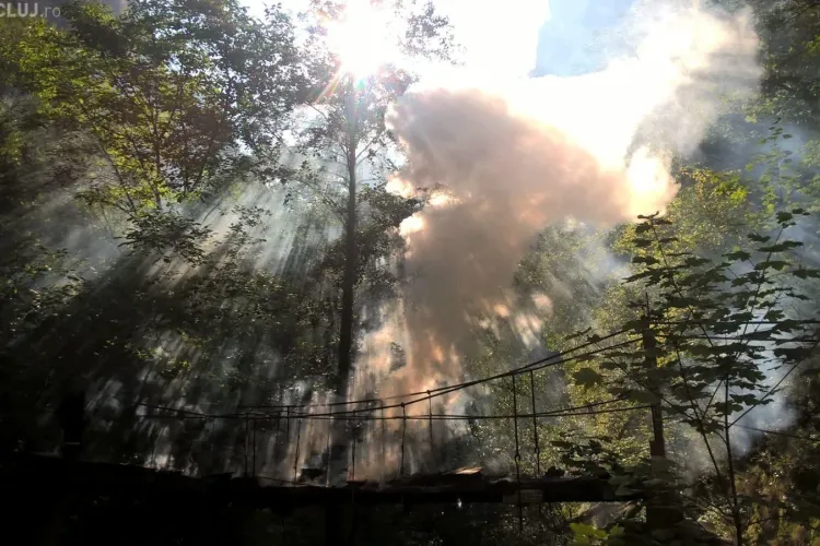 Au dat foc podului 3 din Rezervația Naturală Cheile Turzii - FOTO