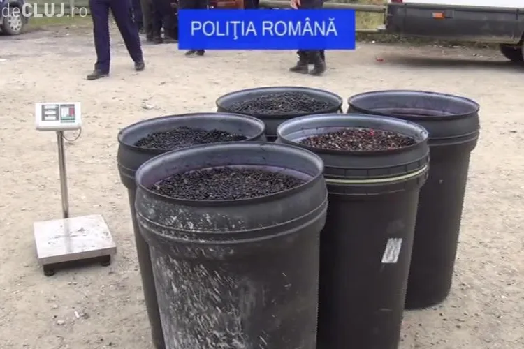 Deputatul USR Cluj, Adrian Dohotaru, a făcut plângere penală împotriva celor care culeg fructe de pădure