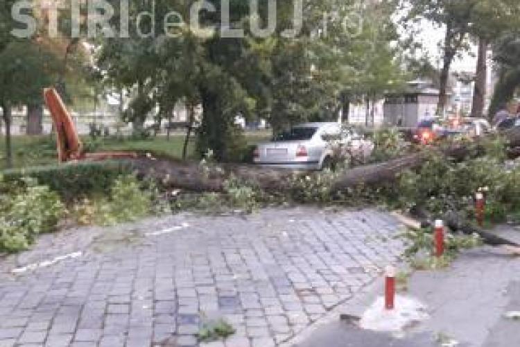 ISU Cluj a prezentat bilanțul furtunii de duminică: Peste 20 de mașini avariate și 5 persoane rănite
