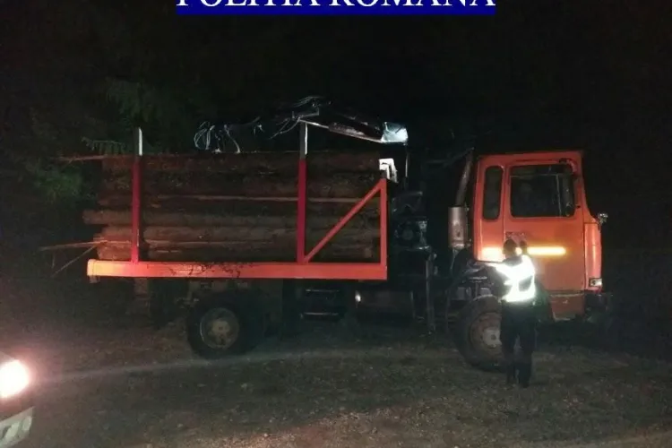 CLUJ: Hoți de lemne, prinși la furat în miez de noapte. Polițiștii au tras cu arma pentru a-l opri pe unul dintre ei FOTO