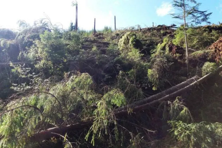 În județul Cluj încă sunt zone fără energie electrică. Electrica riscă o amendă uriașă