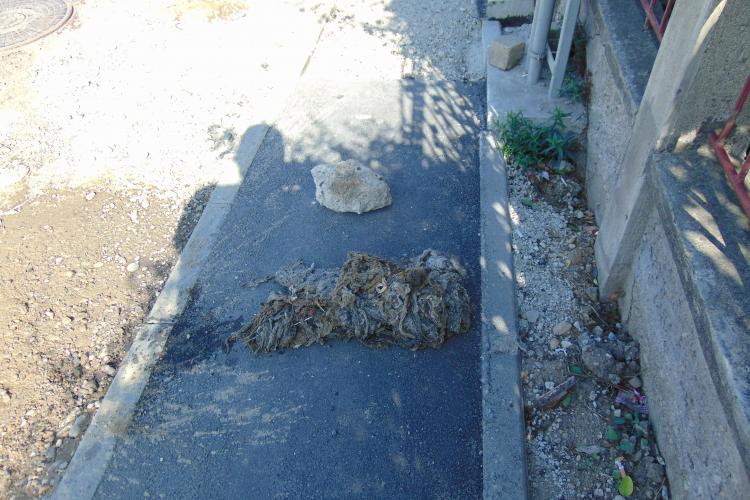 Cârpe, pene și un bolovan aruncat în canalizarea din Florești - FOTO