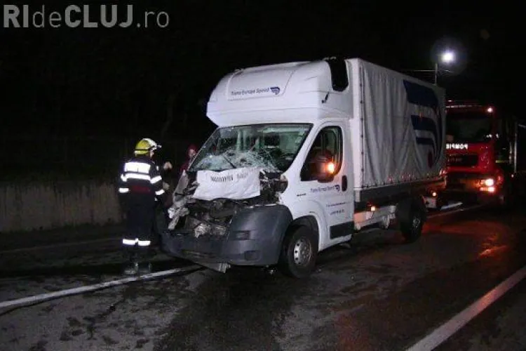 CLUJ: Scenă dramatică la Bunești. O bivoliță, care traversa strada alături de pui, a fost lovită mortal de un șofer VIDEO